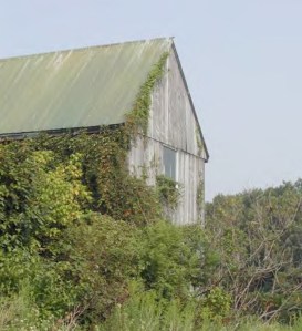 GreenCloakTilley.ppt